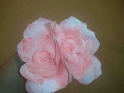 No Flowers.. Help! *pic on page 2 updated today :)*