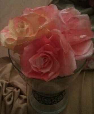 No Flowers.. Help! *pic on page 2 updated today :)*