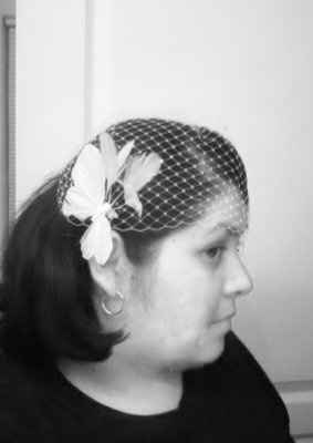 Well what do you think? My DIY birdcage veil..