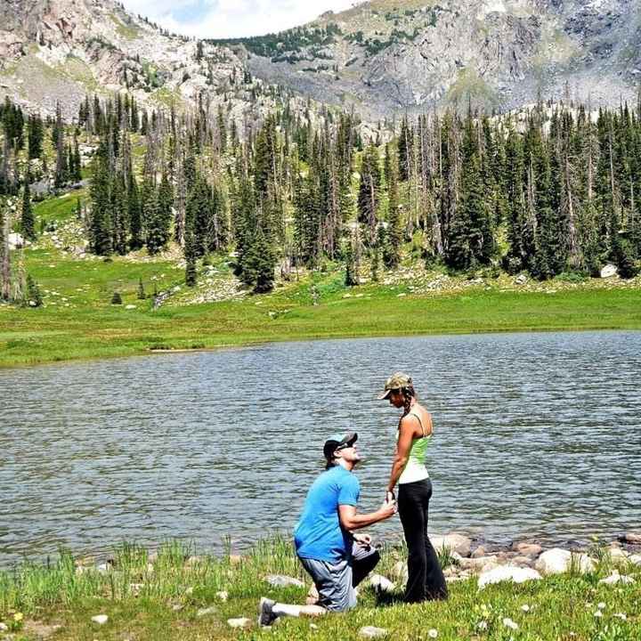 Purposal