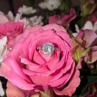 2024 Brides - Show us your ring! - 1