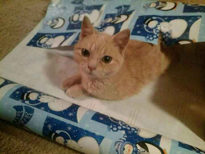 NWR Our newest addition to the family