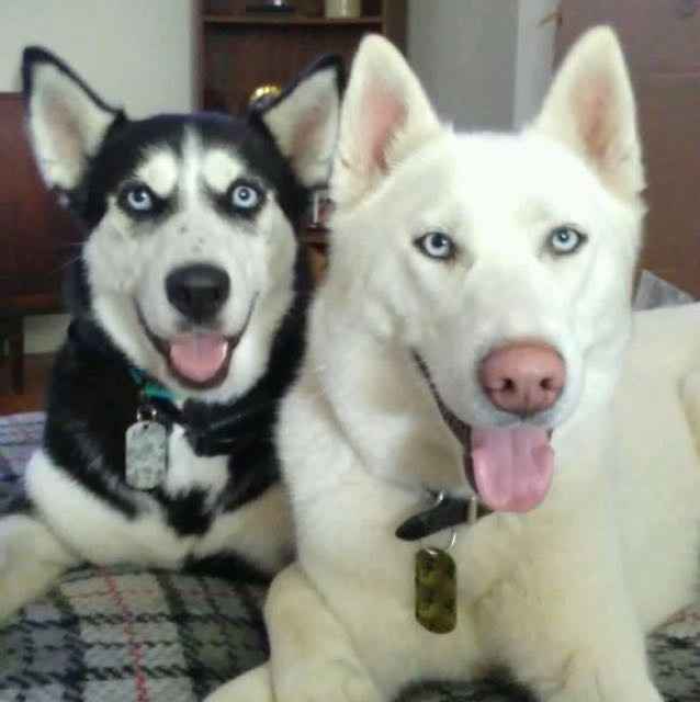 NWR- pets! We love them show me yours :)