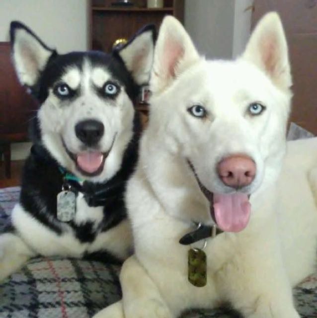 NWR- pets! We love them show me yours :)