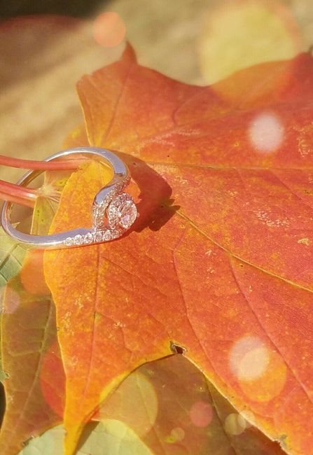 E-rings ~ show them off!