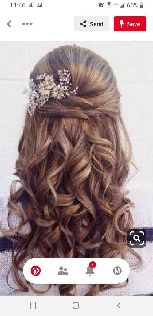 Wedding hair: veil and barrette/comb - 1