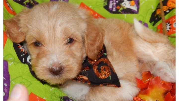 How can we say "No"?