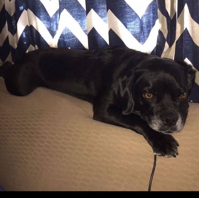 Spinoff: Show us your rescues!
