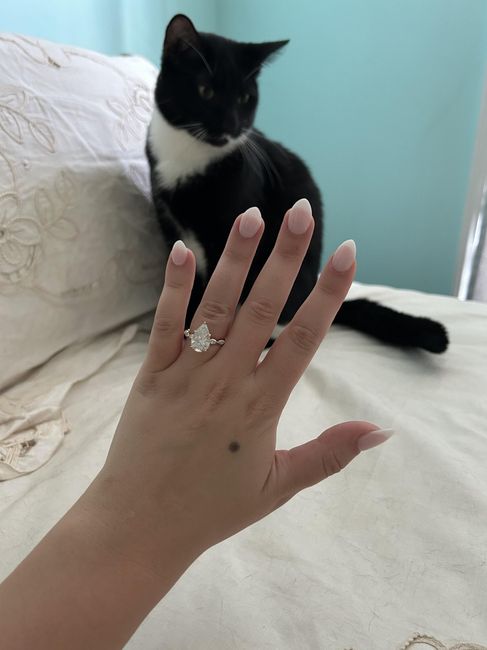 2026 Brides - Show us your ring! - 1