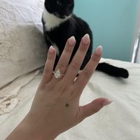 2026 Brides - Show us your ring! - 1