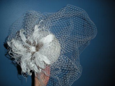 lets pretend i don't have a veil already.....