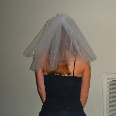 lets pretend i don't have a veil already.....