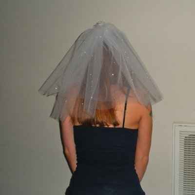 lets pretend i don't have a veil already.....