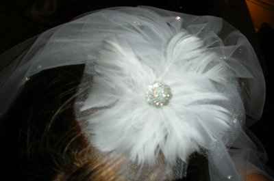 lets pretend i don't have a veil already.....