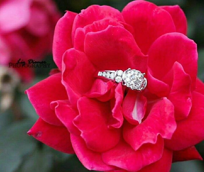 Show off your rings!!!