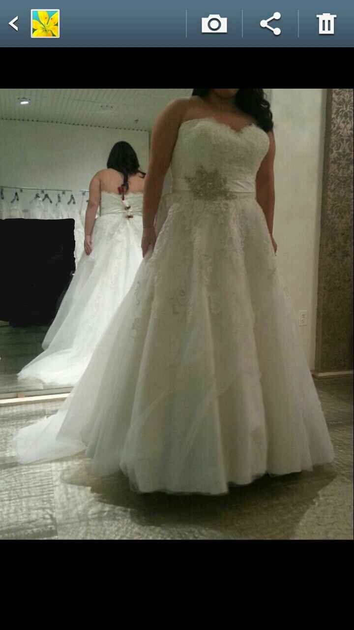 Plus-size brides!