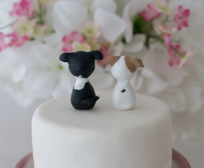 Back view of the dogs
