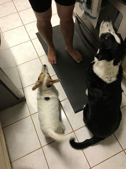 Their backs to compare