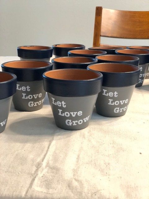 Succulent pots