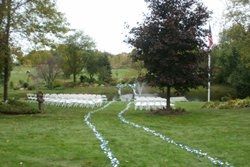 Outdoor/ Garden ceremony
