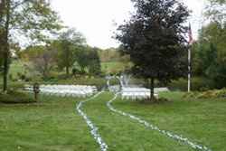 Outdoor/ Garden ceremony