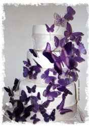 How do you choose when you like all of the choices???