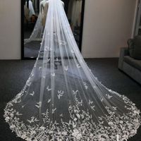 Veil help - 1