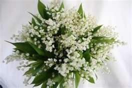Flower ideas, HELP! Hayley where are you ? :) *pics*