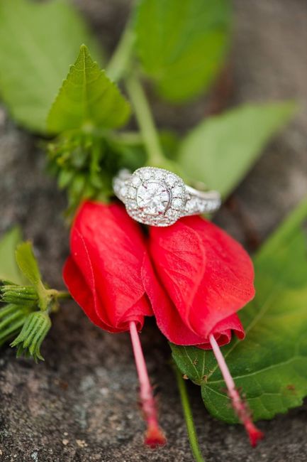 Got my E-Pics back and I love them!!! Blog Post from photographer. ETA some pics in post.