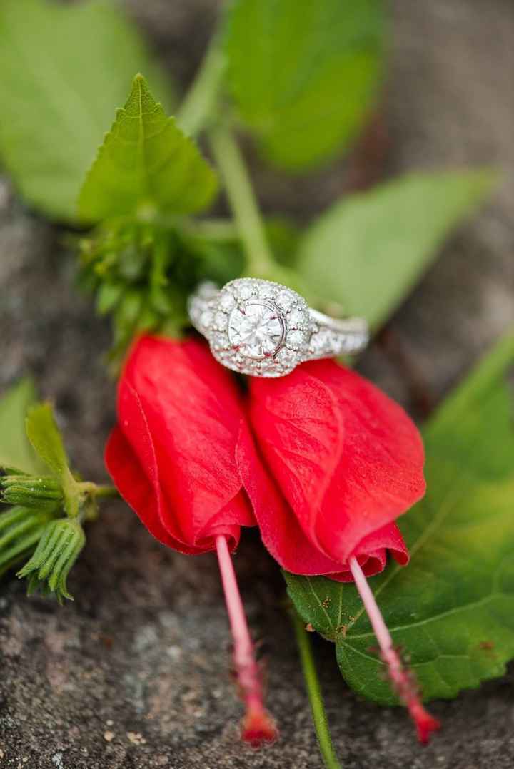 Got my E-Pics back and I love them!!! Blog Post from photographer. ETA some pics in post.
