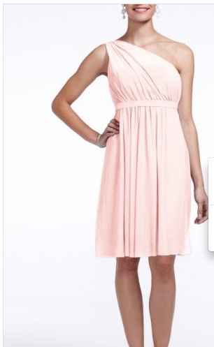 Bridesmaid dislikes dress.