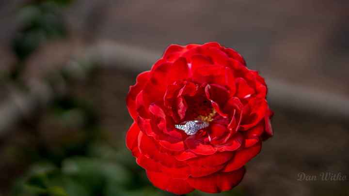 Sharing your ring on social media? - 1