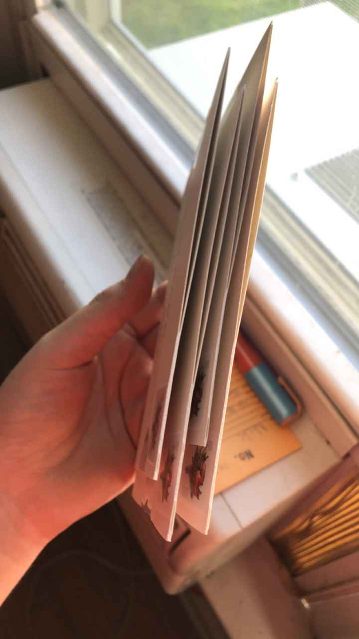 Minted all in one invitations - 1