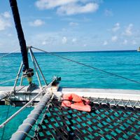 Jamaica Honeymoon and travel during covid - 5
