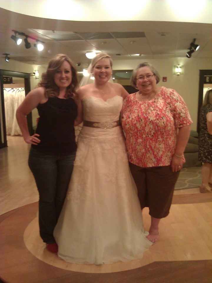 The dress is in!! With picture.