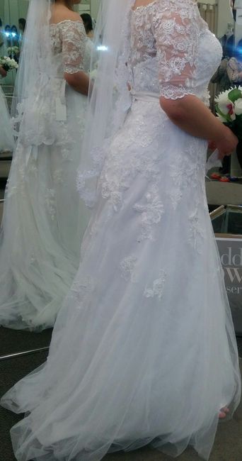 WW Poll: Help choosing dress!