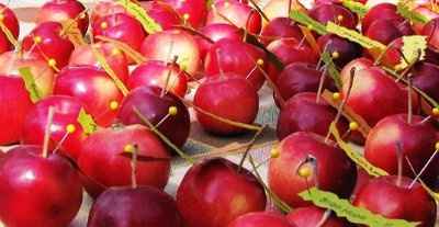 Perfect day for a perfect wedding! (More photos!)