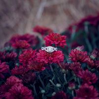 Brides of 2021! Show us your ring! - 1