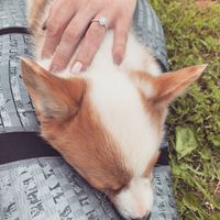 Brides of 2020!  Show us your ring! - 1