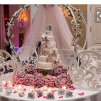 Fall Cinderella wedding