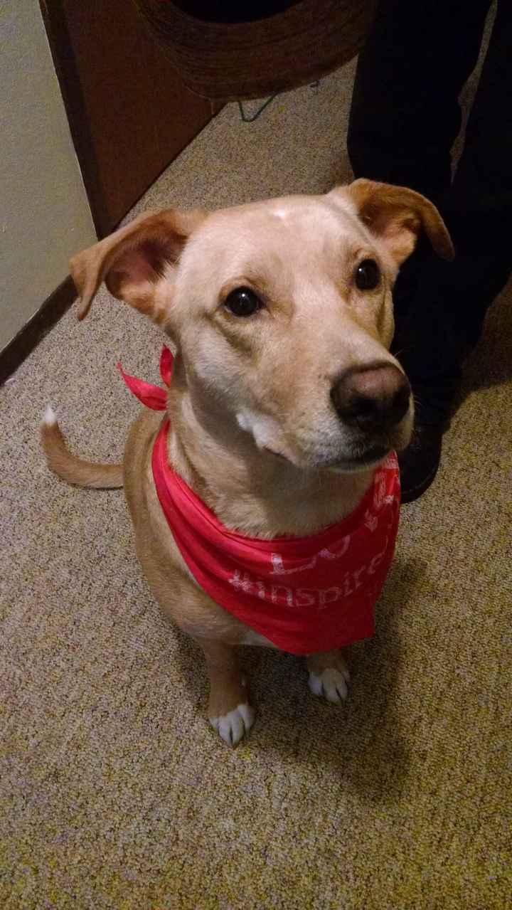 Introduction (finally!)