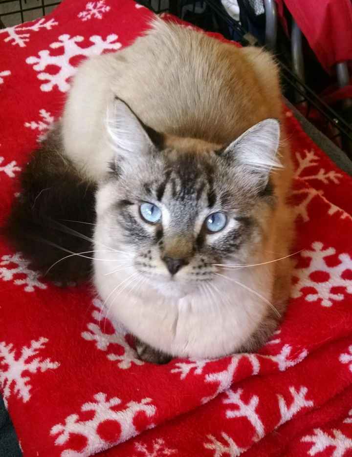 Introduction (finally!)