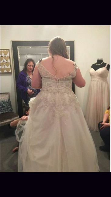 Dress Indecisiveness