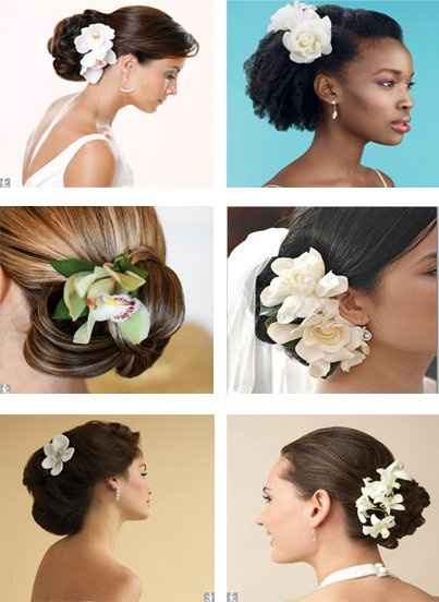 Veil or no veil??