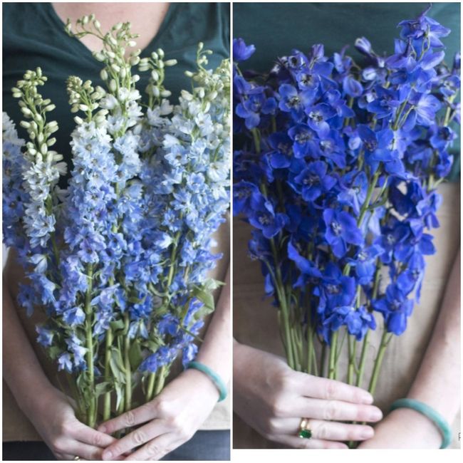 diy Bouquets 3