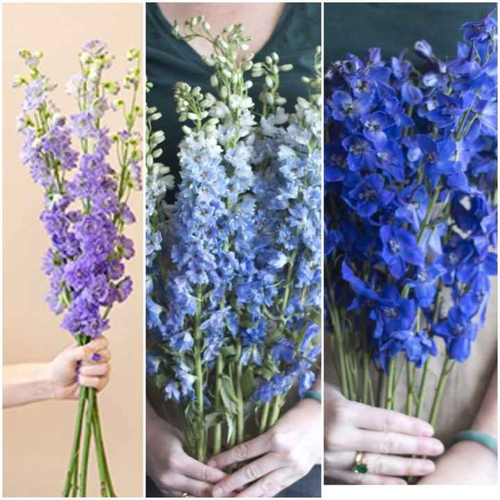 diy Bouquets - 5
