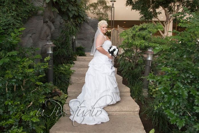 Pro Pics are in!!!!!