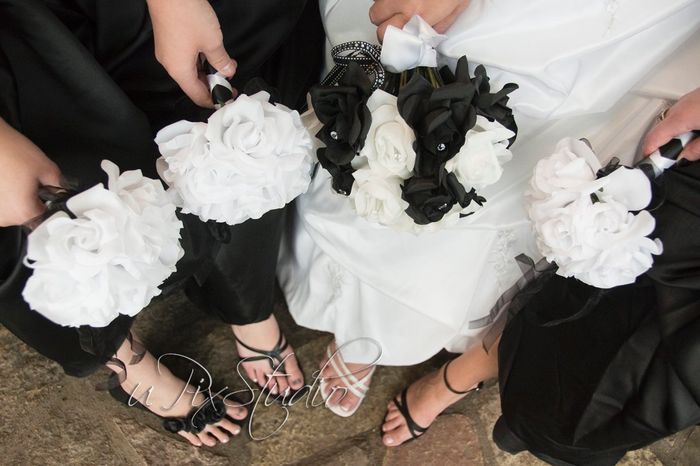 Pro Pics are in!!!!!