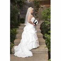 what does your wedding dress look like?!?!?