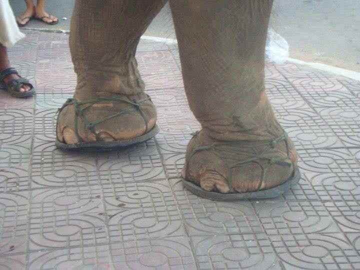 Show Off Your Shoes!